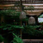 Tropical Interior Design Style: 7 Proven Tips to Avoid Costly Mistakes