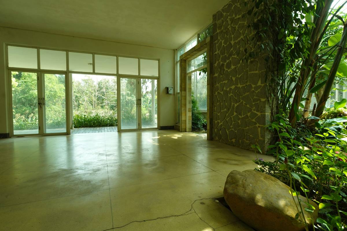 A living room featuring authentic tropical interior design style with teak furniture, woven textiles, and potted palms